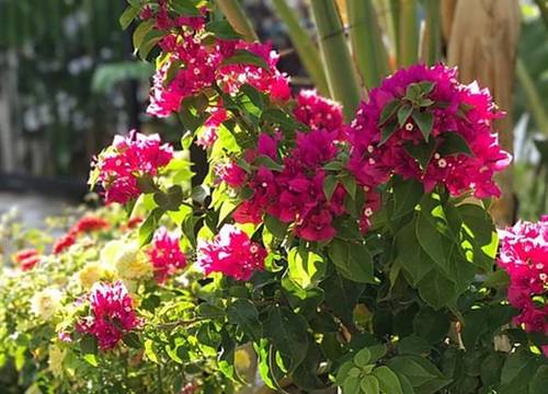turkiye/mugla/bodrum/artunc-boutique-hotel-8c29a066.png