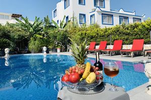 turkiye/mugla/bodrum/artunc-hotel-bodrum-2ff989d3.jpg