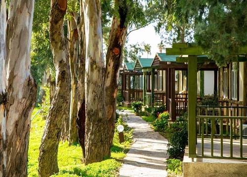 turkiye/mugla/bodrum/aspat-termera-resort-4316-1167123583.jpg