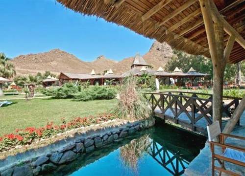 turkiye/mugla/bodrum/aspat-termera-resort-4316-230883337.jpg
