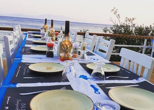 turkiye/mugla/bodrum/balikci-pansiyon-restaurant_179a930a.jpg