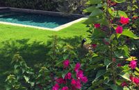 Villa One Bedroom With Private Pool