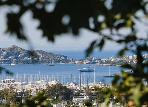turkiye/mugla/bodrum/birdcage33-boutique-hotel-restaurant_ba4fe5c5.jpg