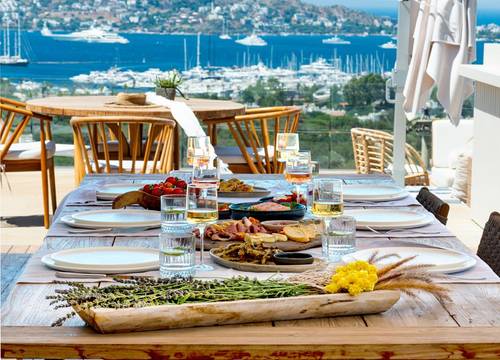 turkiye/mugla/bodrum/birdcage33-boutique-hotel-restaurant_c0cf84cf.jpg