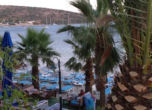 turkiye/mugla/bodrum/bitez-deniz-hotel-76714319.jpg