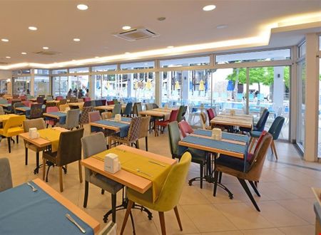 turkiye/mugla/bodrum/bitez-garden-life-58dbe36e.png