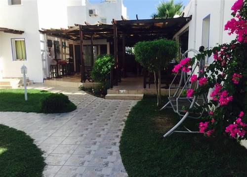 turkiye/mugla/bodrum/bodrum-palm-hotel-785656858.jpg