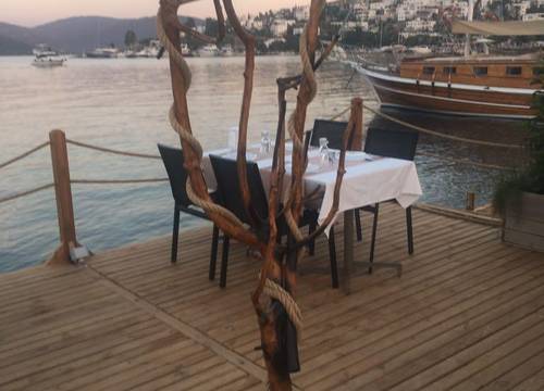 turkiye/mugla/bodrum/buk-beach-club_cc198c7b.jpeg