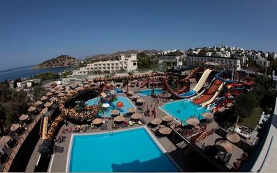 Cactus Mirage Family Club · 5