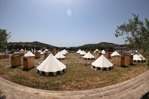 turkiye/mugla/bodrum/canvasvilla-glamping-bodrum_cf9f016b.jpg
