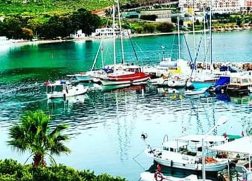 turkiye/mugla/bodrum/castelino-akyarlar_a3d74db8.jpg