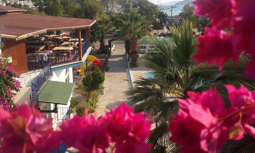 turkiye/mugla/bodrum/chronos-beach-hotel_c40bfd78.jpg