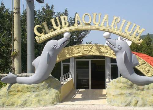 turkiye/mugla/bodrum/club-aquarium-622026.jpg