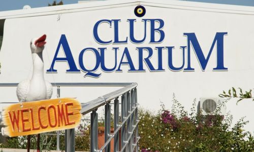turkiye/mugla/bodrum/club-aquarium-623859.jpg