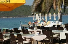 turkiye/mugla/bodrum/club-aquarium-623935.jpg
