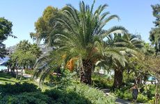 turkiye/mugla/bodrum/club-flipper_306724c7.jpg