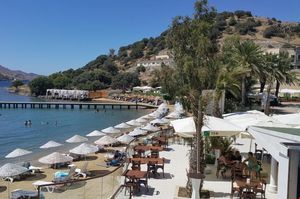 turkiye/mugla/bodrum/club-flipper_a2de363a.jpg