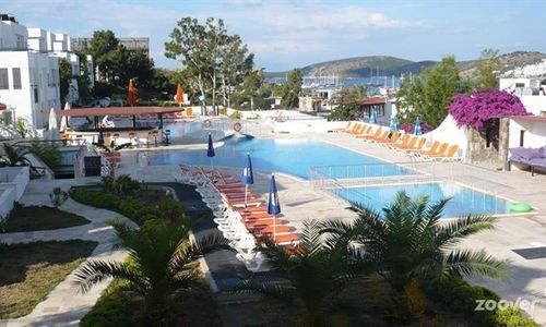 turkiye/mugla/bodrum/club-pedalisa-apart-hotel-1568972881.jpg