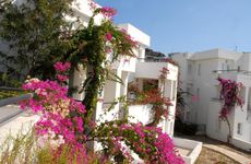 turkiye/mugla/bodrum/club-pedalisa-apart-hotel_70682107.jpg