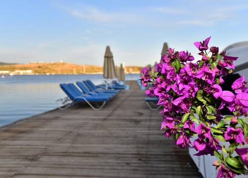 turkiye/mugla/bodrum/coconut-beach_9b82c188.jpg