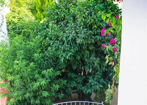 turkiye/mugla/bodrum/cotton-boutique-hotel-7beae4eb.jpg