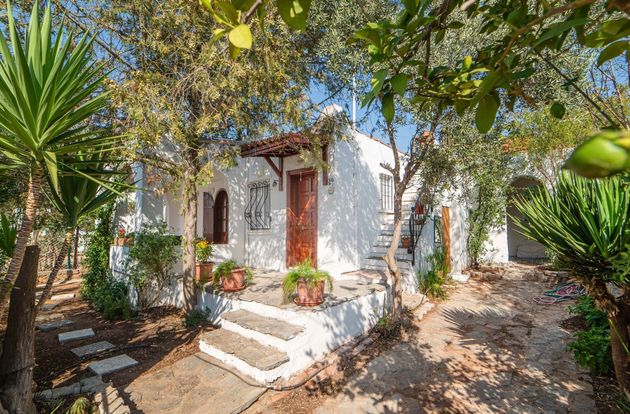 turkiye/mugla/bodrum/d1f6899672632f3a8d431b1d8c7db2ff022a3327d9aa1997c481f457b409fb56775aee0a284d23a207dcd52093f86f2e9e1cb373e29dce400a6de37aaa1603897ef41816cc66427f994bfd24dead8a9b.jpg