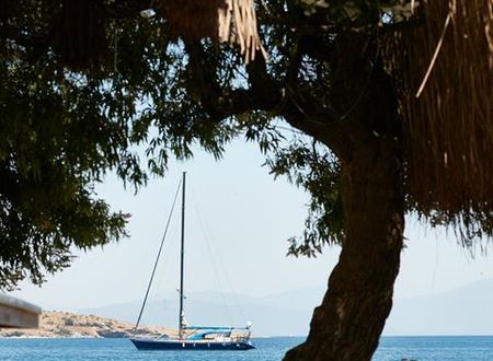 turkiye/mugla/bodrum/daphnis-hotel-apart_0c5b1692.jpg