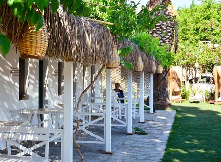 turkiye/mugla/bodrum/daphnis-hotel-apart_2bf641ba.jpg
