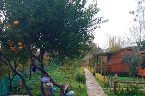 turkiye/mugla/bodrum/defne-wood-home_739cfca1.jpg
