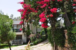 turkiye/mugla/bodrum/deneme-resort-hotel-151420j.jpg
