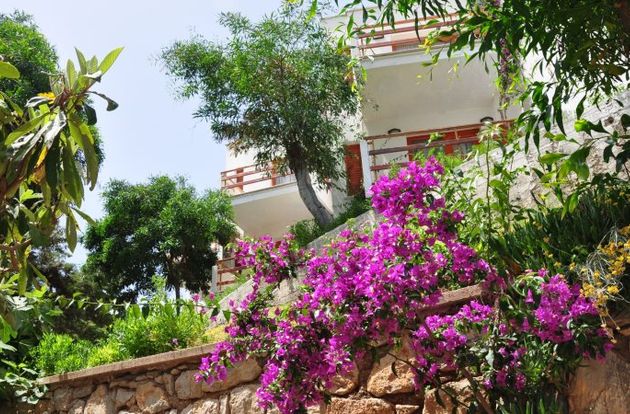 turkiye/mugla/bodrum/deneme-resort-hotel-151421i.jpg