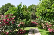turkiye/mugla/bodrum/deneme-resort-hotel-151426u.jpg