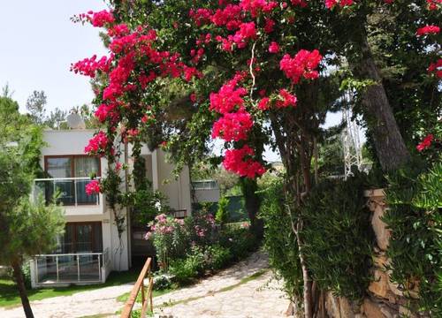 turkiye/mugla/bodrum/deneme-resort-hotel-151492j.jpg