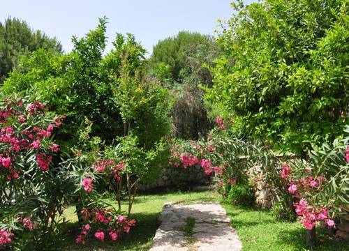 turkiye/mugla/bodrum/deneme-resort-hotel-151498u.jpg