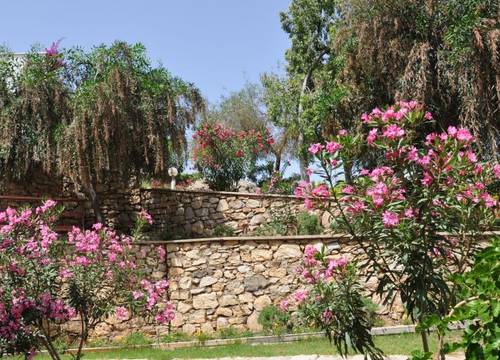 turkiye/mugla/bodrum/deneme-resort-hotel-1514995.jpg