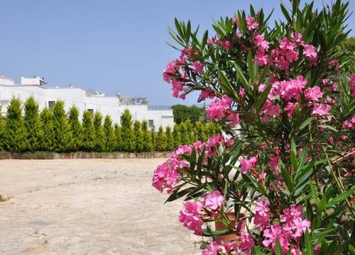 turkiye/mugla/bodrum/deneme-resort-hotel-1515013.jpg