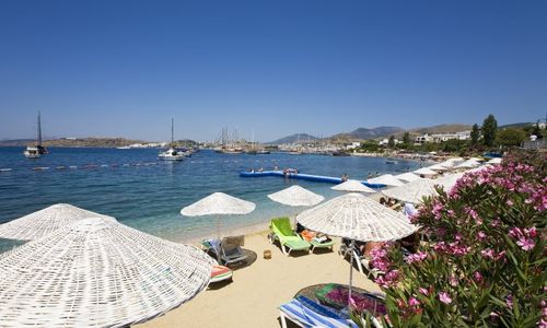 turkiye/mugla/bodrum/diamond-of-bodrum-108881y.jpg