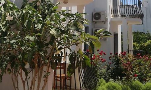 turkiye/mugla/bodrum/dilek-apart-otel-71b99ca5.jpg