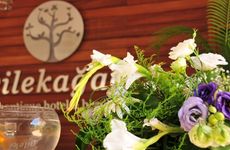 turkiye/mugla/bodrum/dilekagaciboutiquebeachhotel-169952.jpg