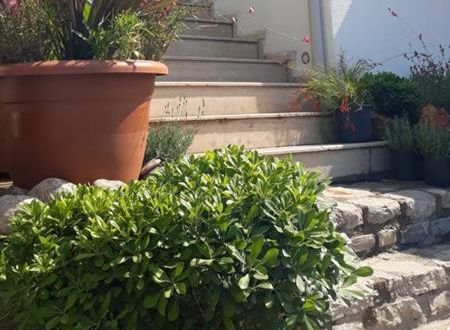 turkiye/mugla/bodrum/dort-mevsim-pansiyon-a7cb04ef.jpg