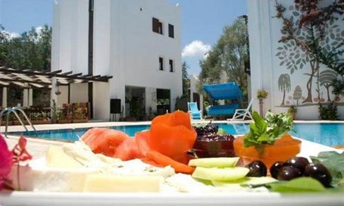 turkiye/mugla/bodrum/ece-hotel-c625f74c.jpg