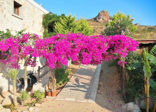 turkiye/mugla/bodrum/eco-farm-boutique-hotel_fd01b17c.jpg