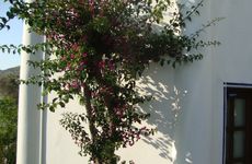 turkiye/mugla/bodrum/eden-hotel-bodrum-456983.jpg