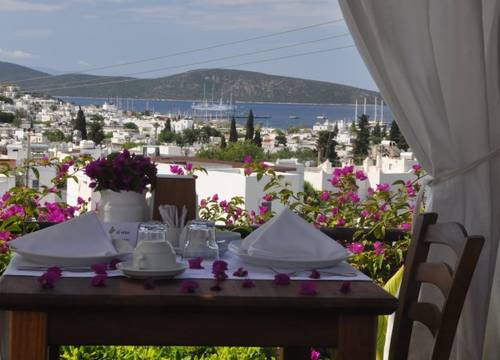 turkiye/mugla/bodrum/el-vino-hotel-suites-1712899.jpg