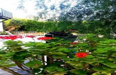turkiye/mugla/bodrum/emelce-apart_f8b9a6b7.jpg