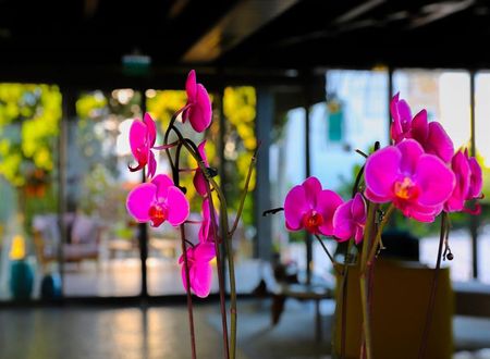turkiye/mugla/bodrum/eski-ceshme-otel-e9c8fcc2.jpg