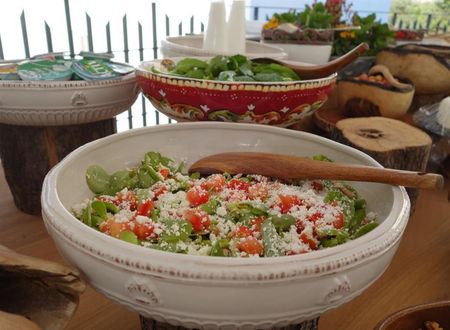 turkiye/mugla/bodrum/eskiceshme-otel-439516b0.jpg