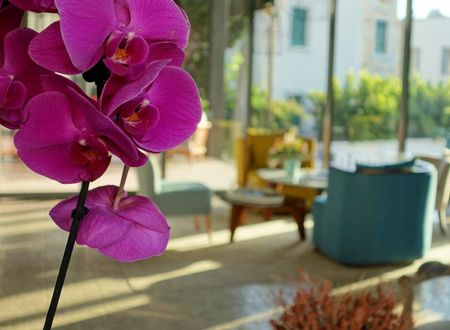 turkiye/mugla/bodrum/eskiceshme-otel_9af869d9.jpg