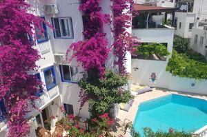 turkiye/mugla/bodrum/eskici-hostel-bodrum_82912945.jpg