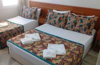 Standard Room - Triple